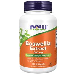 Now Foods Boswellia Extract 500 mg 90 kapslí
