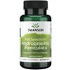 Swanson Andrographis 400 mg 60 kapslí