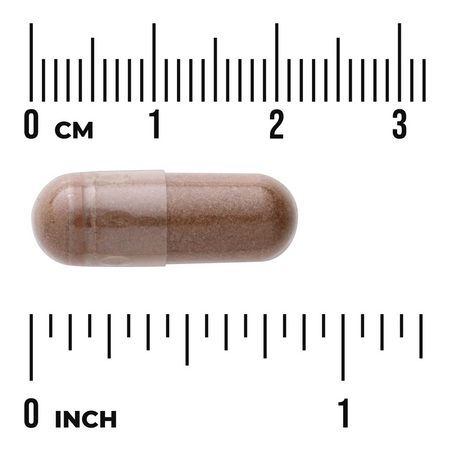 Swanson Cejlonská Skořice (True Cinnamon) 300 mg 120 kapslí
