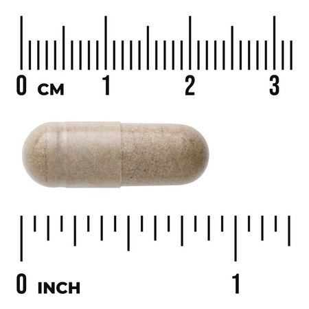 Swanson Echinacea Extract 60 kapslí