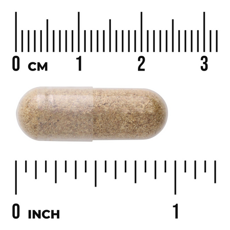Swanson Fenykl (Fennel Seed) 480 mg 100 kapslí