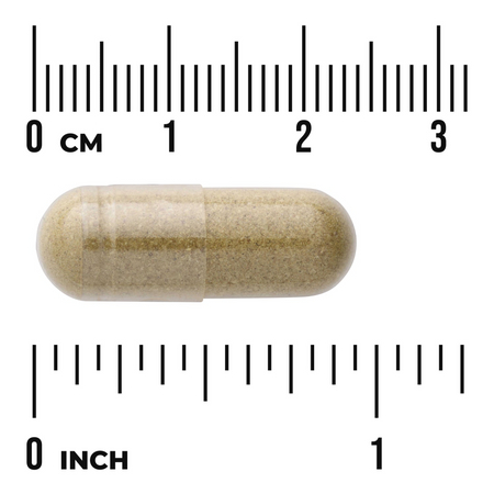 Swanson Rozmarýn Lékařský (Rosemary) 400 mg 90 kapslí