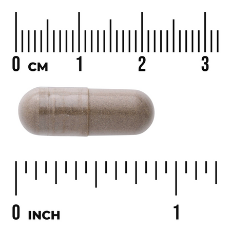 Swanson Drmek Obecný (Chasteberry Fruit) 400mg 120 kapslí