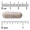 Swanson Full Spectrum Devil's Claw 500 mg 100 kapslí