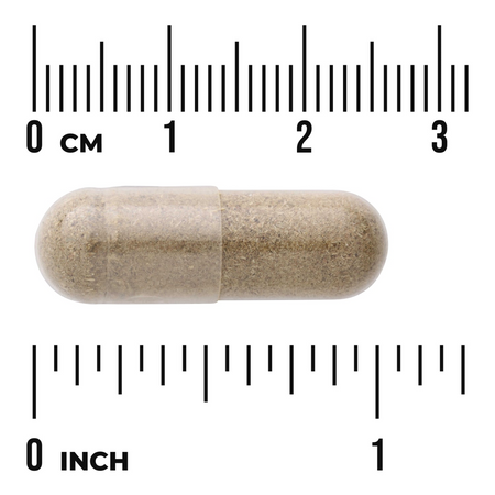 Swanson Chanca Piedra 500 mg 60 kapslí