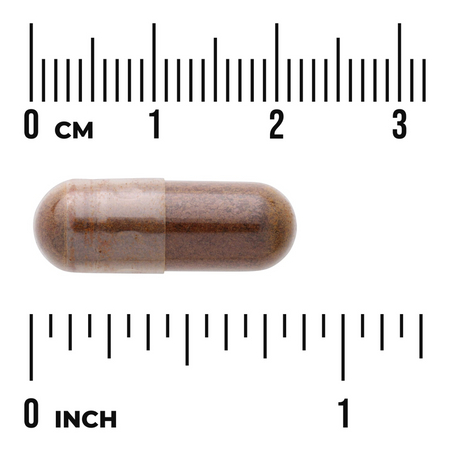 Swanson Rapid Immune Defense EPICOR 30 kapslí