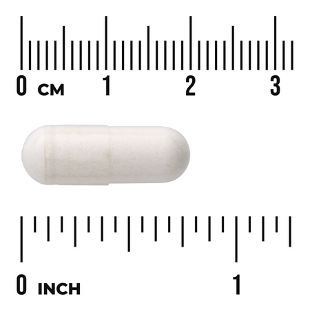 Swanson SunActive nedráždivé Železo 15 mg 90 kapslí