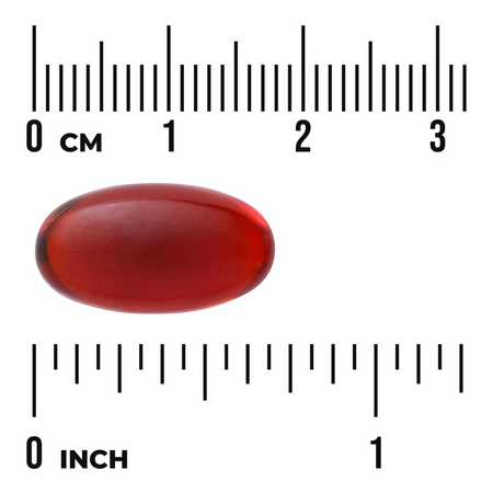 Swanson Krillový Olej (Krill Oil) 500 mg 60 kapslí