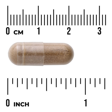 Swanson Lavender Flower (Lavandula) 400 mg 60 kapslí