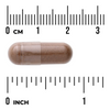 Swanson Cejlonská Skořice (True Cinnamon) 300 mg 120 kapslí