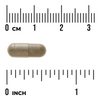 Swanson Albion Chelát Železitý 18 mg 180 kapslí