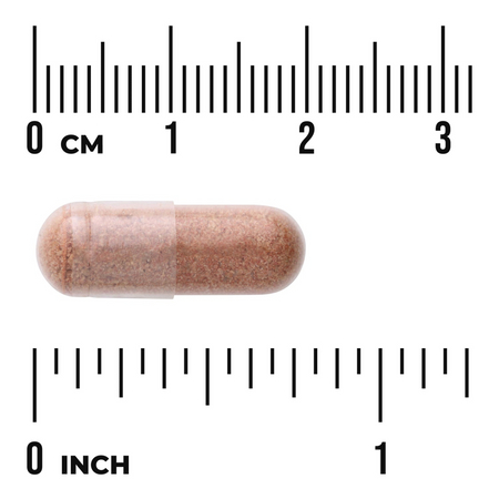 Swanson Borová Kůra (Pine Bark) Extract 50 mg 100 kapslí