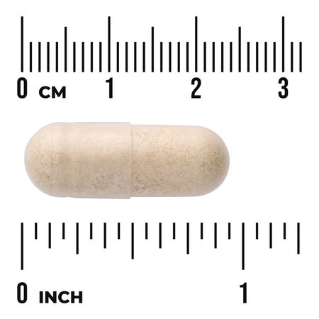 Swanson Prostate Essentials 90 kapslí