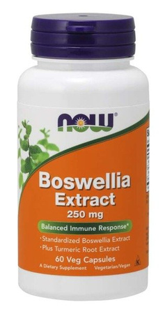 Now Foods Boswellia Extract 250 mg 60 kapslí