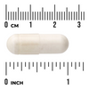 Swanson Boswellia Double Strenght 800 mg 60 kapslí