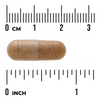 Swanson Vojtěška (Alfalfa) 400 mg 60 kapslí