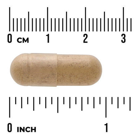 Swanson Ostropestřec Mariánský (Milk Thistle) 500 mg 30 kapslí