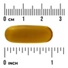 Swanson Avokádový Olej (Avocado Oil) 1000 mg 60 kapslí
