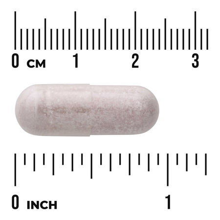 Swanson Acai Berry 500 mg 120 kapslí