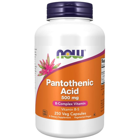 Now Foods Pantothenic Acid 500 mg 250 kapslí