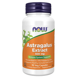 Now Foods Kozinec (Astragalus) Extract 500 mg 90 kapslí