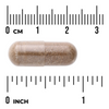 Swanson Kopřiva Indická (Coleus Forskohlii) 400 mg 60 kapslí