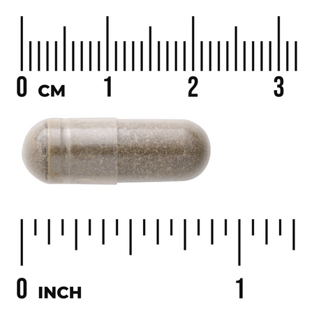 Swanson Bacopa Monniera BaCognize Extract 250 mg 90 kapslí