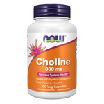 Now Foods Cholina 300 mg 100 veg kapslí
