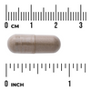 Swanson Drmek Obecný (Chasteberry Fruit) 400mg 120 kapslí