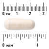Swanson Boswellia Serrata 500 mg 120 kapslí