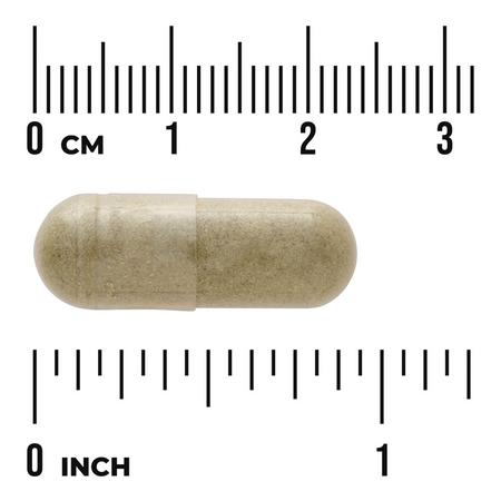Swanson Echinacea 400 mg 100 kapslí