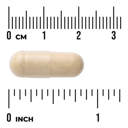 Swanson Artyčok (Artichoke) Extract 250 mg 60 kapslí