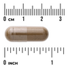 Swanson Celer (Celery Seed) 500 mg 180 kapslí