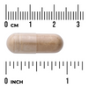 Swanson Avena Sativa Extract 575 mg 60 kapslí