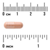 Swanson Pycnogenol 50 mg 50 kapslí