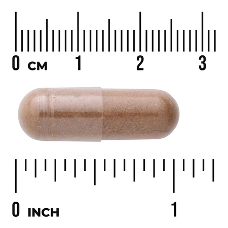 Swanson Bílá Vrba (White Willow) 400 mg 90 kapslí