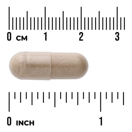 Swanson Liver Tone Detox Formula 300 mg 120 kapslí