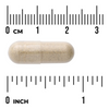 Swanson Hořká Okurka (Momordica Bitter Melon) 200 mg 120 kapslí