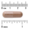 Swanson Bílá Vrba (White Willow) 400 mg 90 kapslí