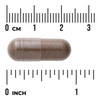 Swanson Gumojilm (Eucommia) 400 mg 60 kapslí