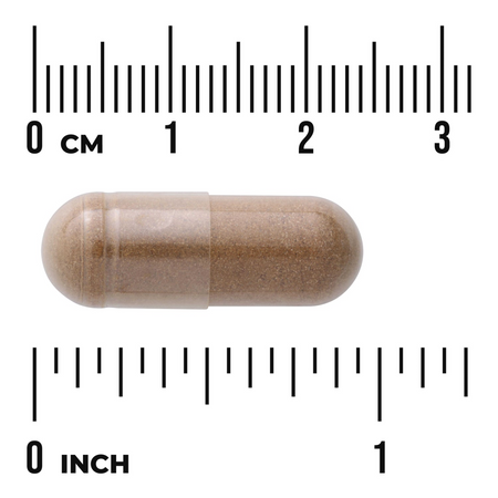 Swanson Andělika Čínská (Dong Quai) 530 mg 100 kapslí