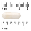 Swanson Probiotyk L. Reuteri Plus s L. Rhamnosus, L. Acidophilus a FOS 30 kapslí