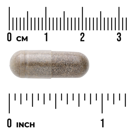 Swanson Gurmar (Gymnema Sylvestre) Extract 300 mg 120 kapslí
