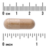 Swanson Agaricus Blazei Extrakt 500 mg 90 kapslí