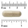 Swanson Olivové List (Olive Leaf) Extract 750 mg 60 kapslí