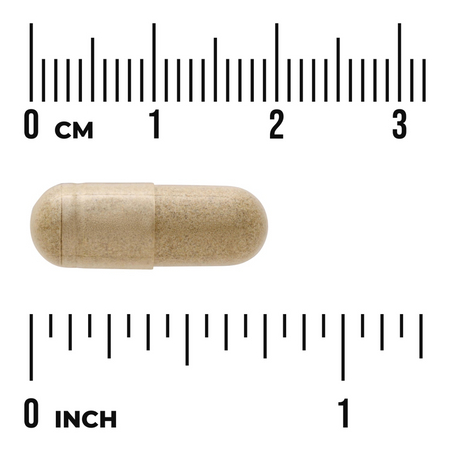 Swanson Buchu Leaf 100 mg 60 kapslí