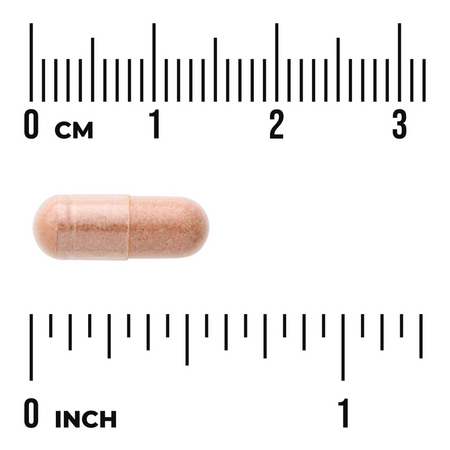 Swanson Pycnogenol 50 mg 50 kapslí