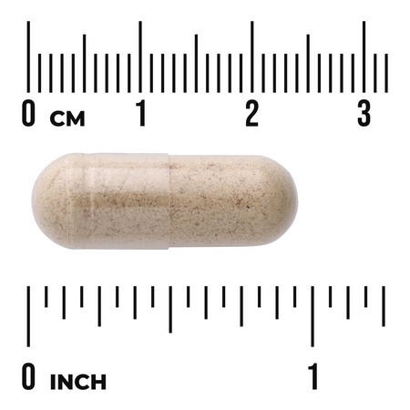 Swanson Ostropestřec Mariánský (Milk Thistle) 500 mg 100 kapslí