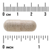 Swanson Sea Cucumber 500 mg 100 kapslí