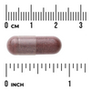 Swanson Hibiscus Flower 400 mg 60 kapslí